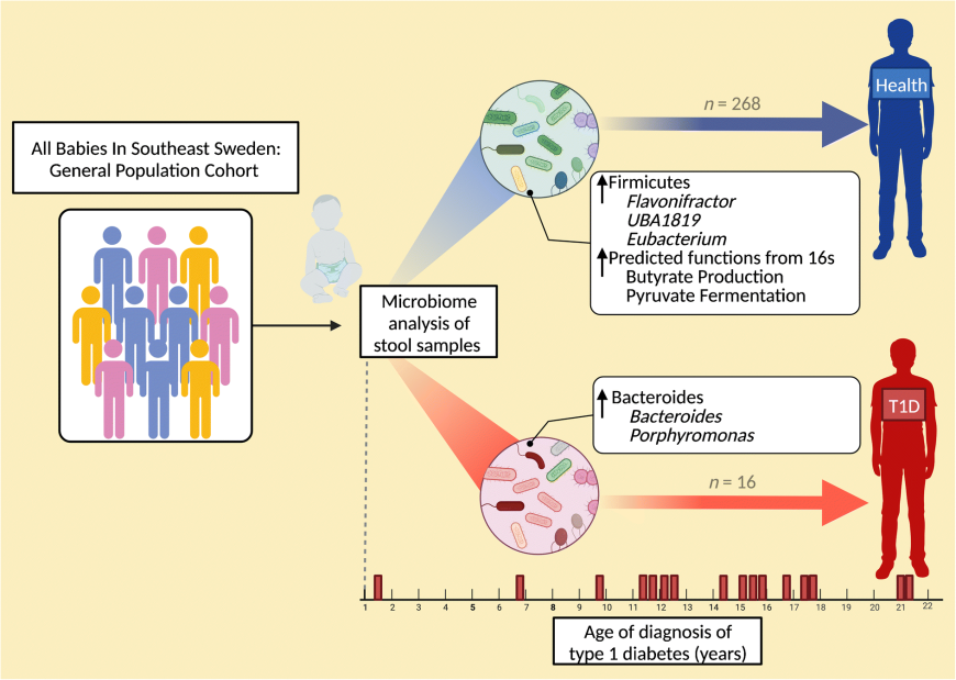 The Hidden Link Between Gut Health and Diabetes