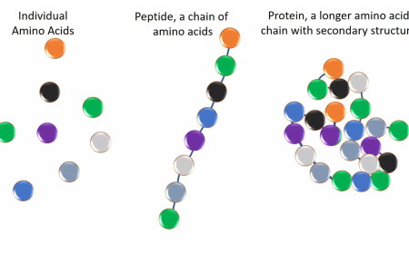 Is Every Peptide Equal? Not So Fast…